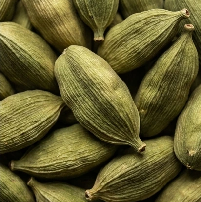 Green cardamom pods